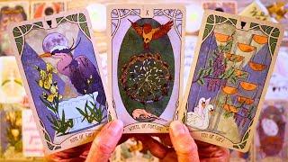 AN APOLOGY THAT WILL CHANGE EVERYTHING!!! ️ LOVE TAROT READING