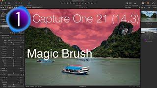 Magic Brush in Capture One 21 14.3 and New Export