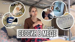 Влог: летняя сессия в медицинском на 3 курсе // подготовка, экзамены, усталость // как мы выжили...