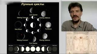 Экадаши - что правильно делать в лунные дни. Миф, эпос и принцип. ¾ #ВедавратаTV 2018-08-08 ranok088