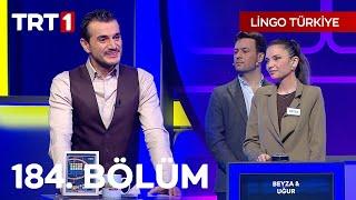 Lingo Türkiye 184. Bölüm