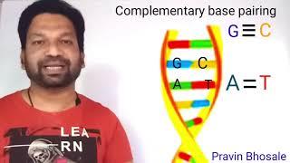 Structure of DNA | Pravin Bhosale