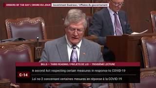 Senator Plett addresses the Canada Emergency Wage Subsidy in the Senate