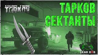 Тарков Сектанты | Фарм культистов на Таможне | Escape from Tarkov гайд