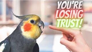 5 Ways to Lose Your Bird's Trust