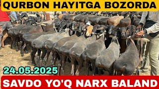 QURBON HAYITGA QO'Y QO'ZI QO'CHQOR NARXLARI SURXONDARYO MUZRABOT ZANG MOLBOZORI