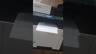 Kyocera M5521cdw