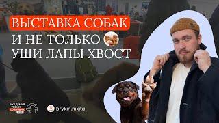 Выставка собак и не только. Уши Лапы Хвост