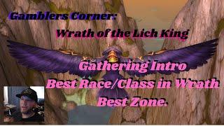 Wow Classic WOTLK: Best Class/Race for Gathering