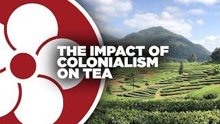 Colonialism & Tea