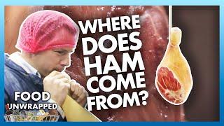 Where does Ham come from? 