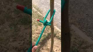 Great Special Secret Knot 