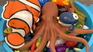 Megan's World live. Sea Animal Toys for Kids