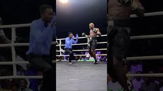 The knockdown worldwide gave to bahubali #daringsidereports #boxing #world #sport #ringside