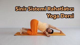 Sinir Sistemi Rahatlatıcı Yoga Dersi (Başlangıç Seviye)