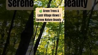  Green Trees & Lush Village Views | Serene Nature Beauty by NaturalBeauty349