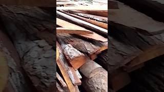 type of wood sought #wood #woodworking #woodskills