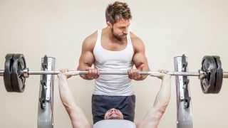 The Muscle Matrix Solution