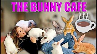 I spent a day THE BUNNY CAFE in Vancouver!