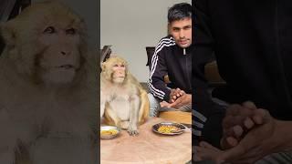 Monkey Rani Akash breakfast ।। #youtubeshorts #shorts #ranivlogrbl #akashrbl783