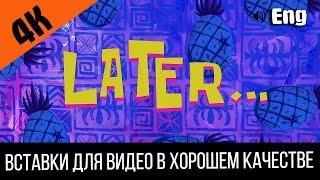 #3 Later / Позже | SpongeBob Timecard | Вставка для видео | Insert for video