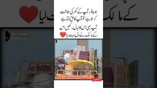 Dil Jeet Liya Urdu Quotes | Heart touching | Golden Words | Dog Love | Motivational Video #shorts