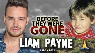 Liam Payne | One Direction Member Tragically Fell | Before They Were Gone