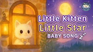 Little Kitten Little Star | Nursery Rhymes | kids songs | calming music for sleep 