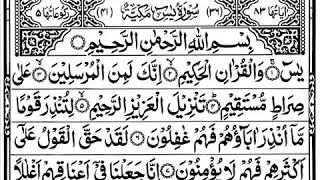 SURAH YASEEN | YASIN SHARIF | SURAH YASIN | WITHOUT ADS | NO ADS |