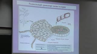 Носов А. М. - Физиология растений I - Водный обмен растений, растительная клетка