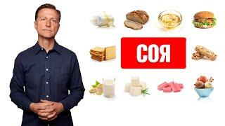 Соевые продукты повсюду. Неужели польза сои так велика?