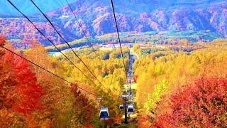 Hunter Mountain scenic Sky ride/Hunter Mountain Skyride | Catskills, New York