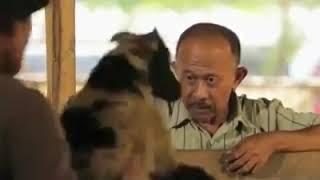 Kerendahan hari menciptakan suatu kharismatik diri yang tak ternilai harganya
