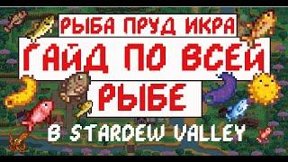 Гайд по всей рыбе, пруду и икре в Stardew valley!