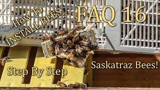 How To Install a Package of Honey Bees, Setting up your first hive step by step.