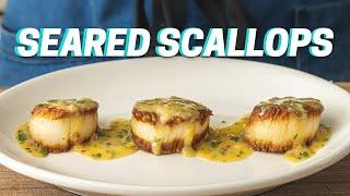 SEARED SCALLOPS WITH SCAMPI RECIPE (Best Way to Cook Scallops)