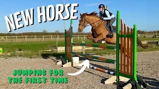 JUMP MY NEW HORSE WITH ME