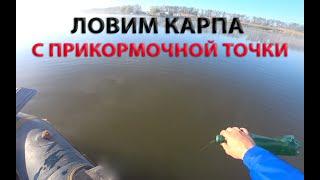 Ловим карпа с прикормочной точки с завозом. Много поклёвок карпа.