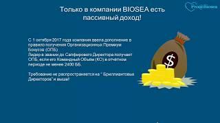 ПРЕЗЕНТАЦИЯ КОМПАНИИ БИОСИ