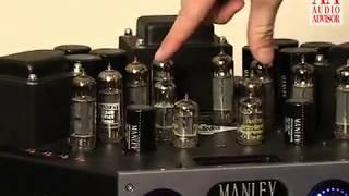 Manley Labs STINGRAY iTube w/iPod Dock & Remote – Audio Advisor