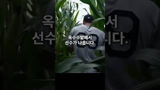 미국에서 대박난 ‘꿈의구장’ MLB현실판