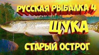 русская рыбалка 4 - Щука озеро Старый Острог - рр4 фарм Алексей Майоров