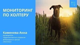 Мониторинг по Холтеру