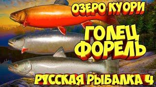 русская рыбалка 4 - Голец Форель озеро Куори - рр4 фарм Алексей Майоров russian fishing 4