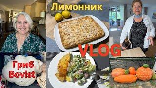 VLOGПеку пирог/Мама пришла в гости/Прогулка/Вернулись не с пустыми руками/Наш ужин/Про гриб гигант