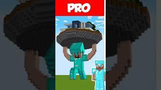 Minecraft NOOB vs PRO vs HACKER: STATUE HOUSE BUILD CHALLENGE in Minecraft / Animation