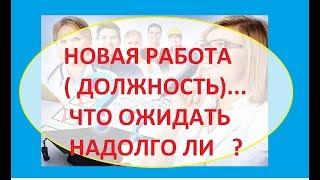 НОВАЯ РАБОТА ( ДОЛЖНОСТЬ)...ЧТО ОЖИДАТЬ..Гадание на Таро он-лайн