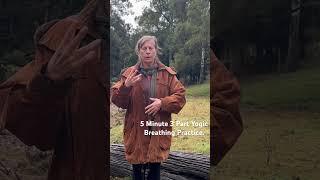5 Minute Breathing Practice! #breathing #breathingtechnique #pranayama