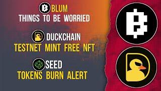 BLUM Worrying Factor | Duckchain Mint Free NFT | SEED Burn Token Alert #blumcrypto #seed