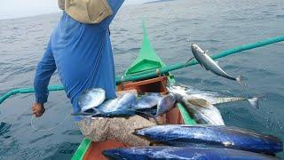 Nagpahuli ang mga malalaking isdang PAKAN at tuna